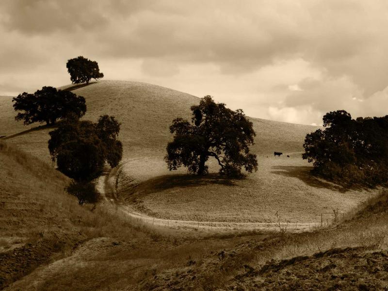 windows screenshot 6