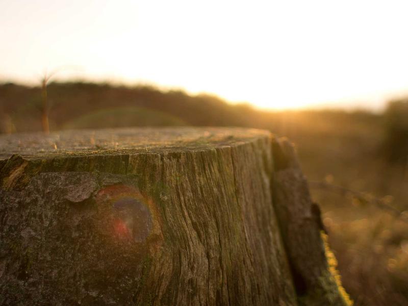 cookies screenshot 4